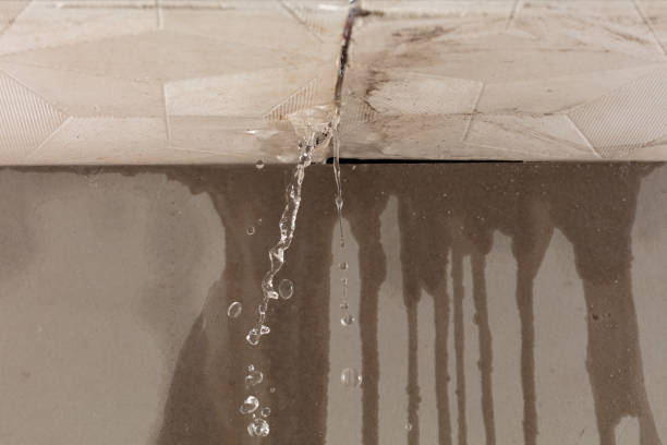 Professional Water Damage Repair technician working in Cameron, OH
